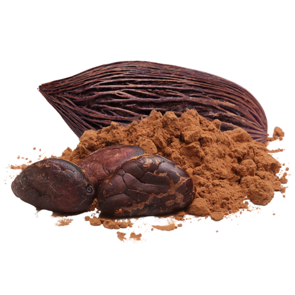 High-Flavanol Cocoa Extract (1200mg)