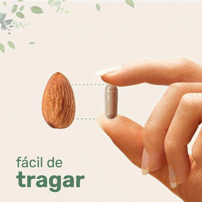 Liver+ Avanzado - Official CRWN