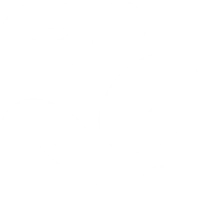 Recharges Cellular Energy